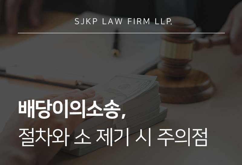 배당이의소송 절차, 소 제기 요건, 대응 전략