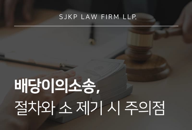 배당이의소송 절차, 소 제기 요건, 대응 전략